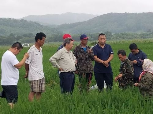 著名水稻栽培专家顾春梅老师全程技术支持和指导,富